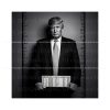 mugshot-of-donald-trump-png-not-guilty-png-download