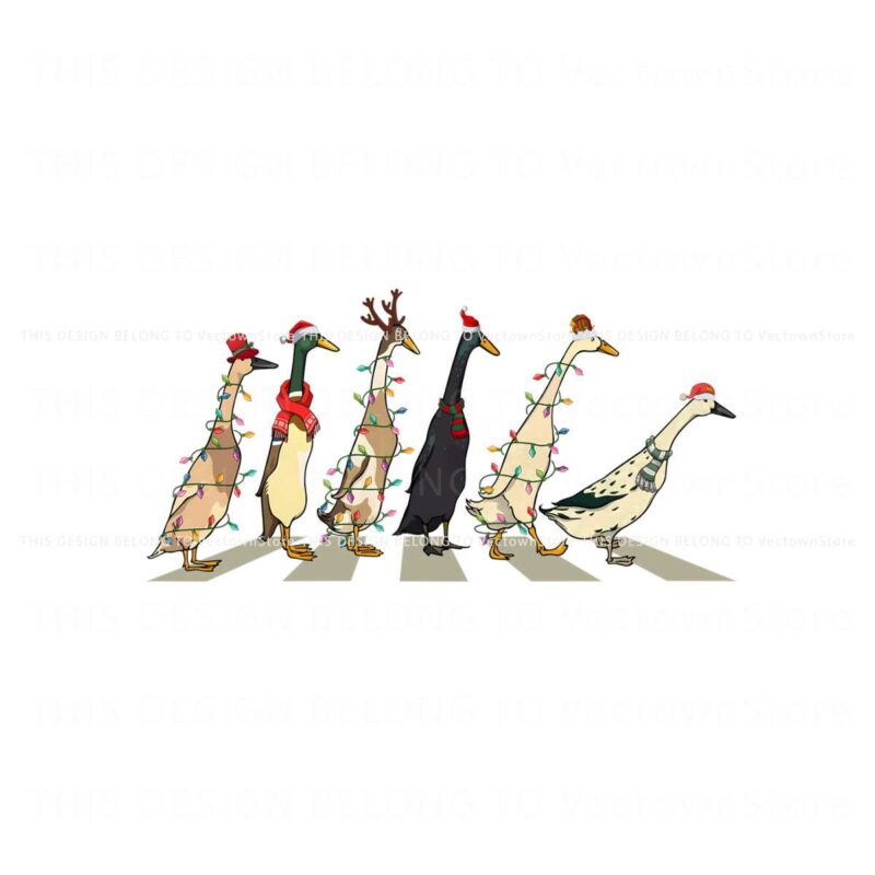 ducks-christmas-light-on-the-street-png-sublimation-file