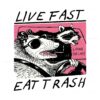 live-fast-eat-trash-funny-raccoon-svg-file-for-cricut