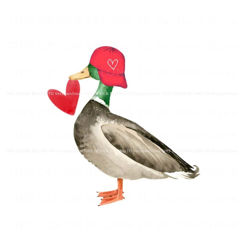 valentine-mallard-duck-funny-animal-png