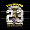 undefeated-perfect-season-champions-png
