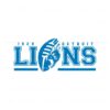 retro-1929-detroit-lions-football-svg