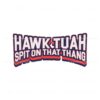 hawk-tuah-spit-on-that-thang-funny-quote-svg