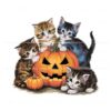 vintage-90s-cat-halloween-pumpkin-png