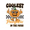 funny-coolest-pumpkin-in-the-patch-svg