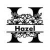 order-name-hazel-svg