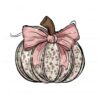 retro-western-leopard-fall-pumpkin-pink-coquette-bow-png