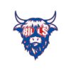 vintage-style-buffalo-football-bills-sunglasses-svg