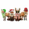 Festive Fox Crew in Santa Hats with Christmas Lights PNG