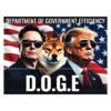 Optimizing Government Efficiency with Trump Musk Doge PNG