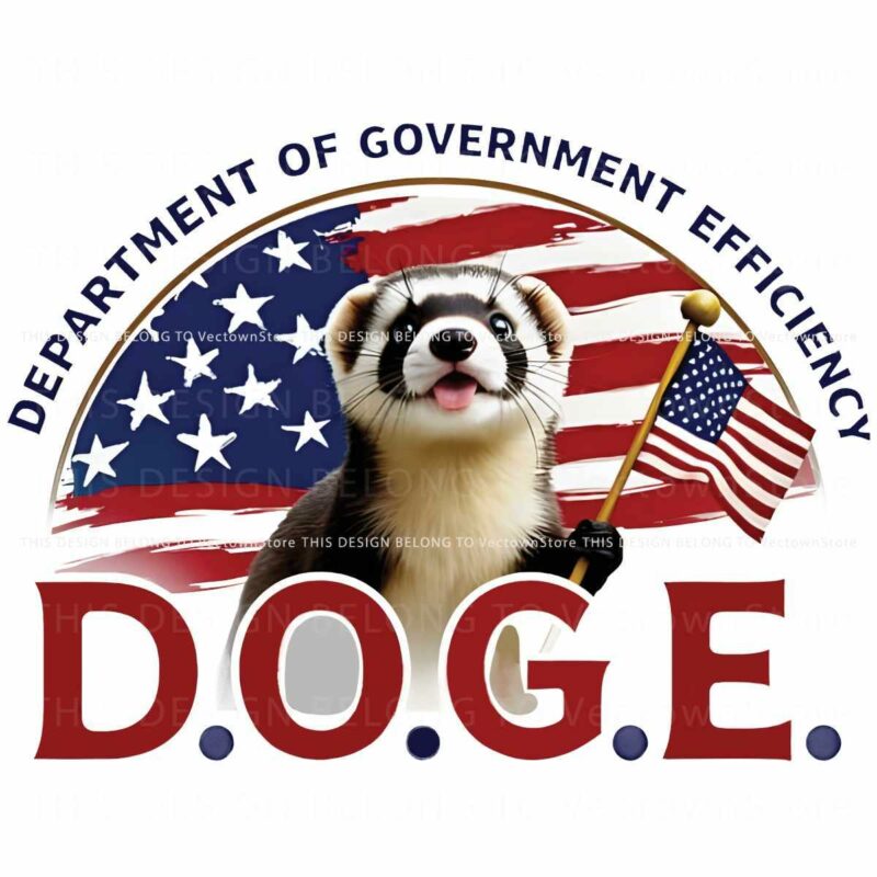 USA Flag PNG Doge Department of Efficiency Ferret Insight