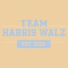 Vintage Team Harris Walz Est November 2024 SVG